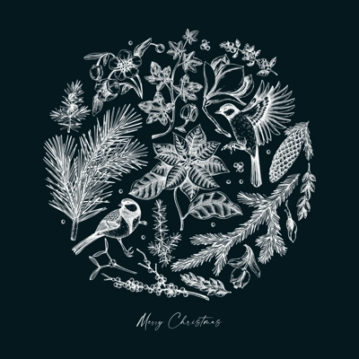 Merry Christmas card. Evergreen plants, flower, bird sketches. Winter vector design on chalkboard. Hand-drawn botanical illustrations. NOT AI generated image